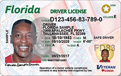front-new-driver-license
