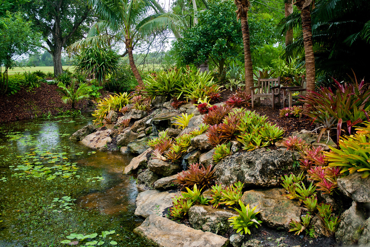 Photo - Mounts Botanical Garden - 0
