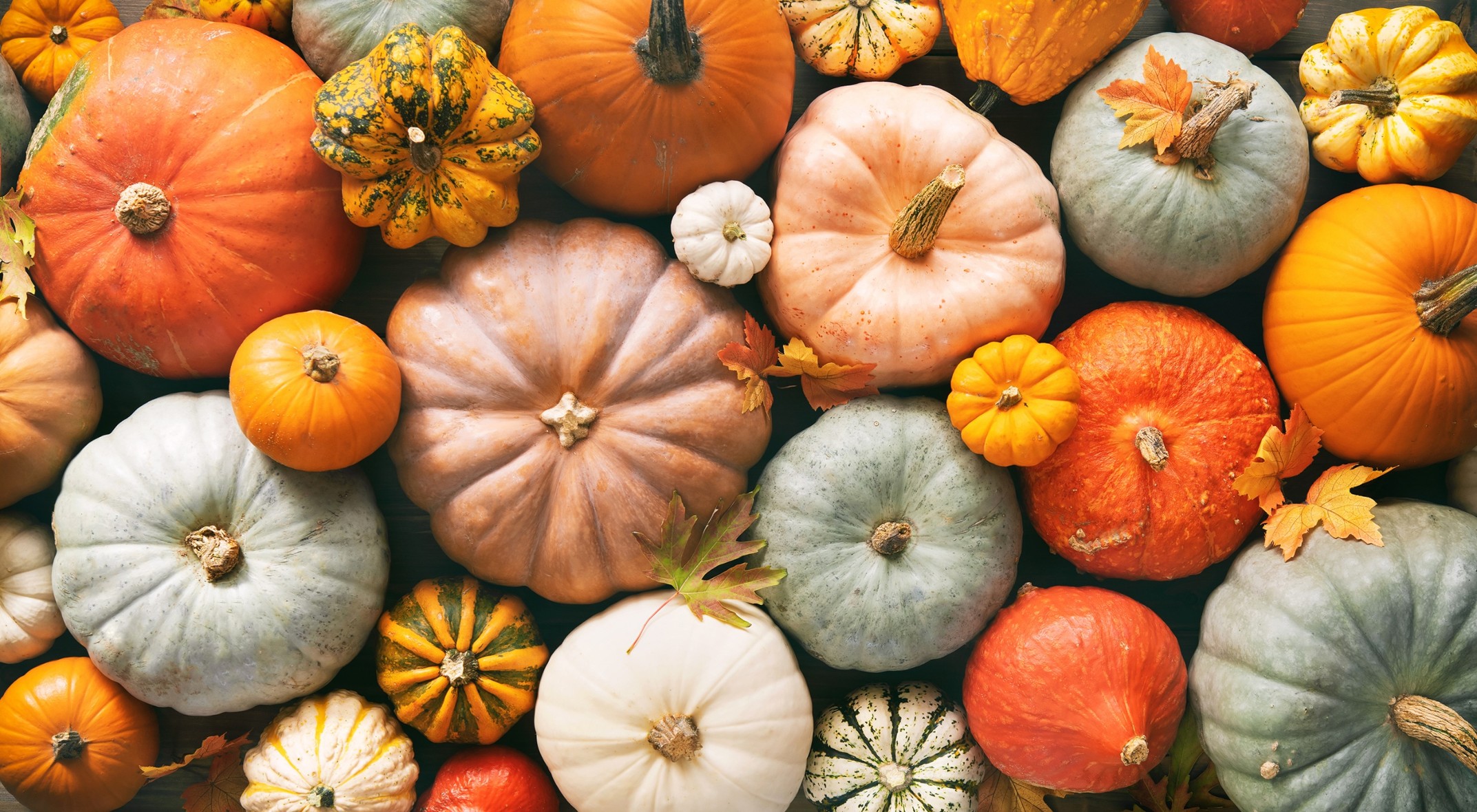 Photo of pumpkins.